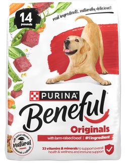 14 pound purina dog food