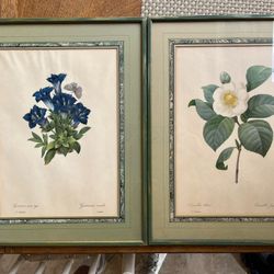 A Pair Of P.J. Redoute French Lithographs 