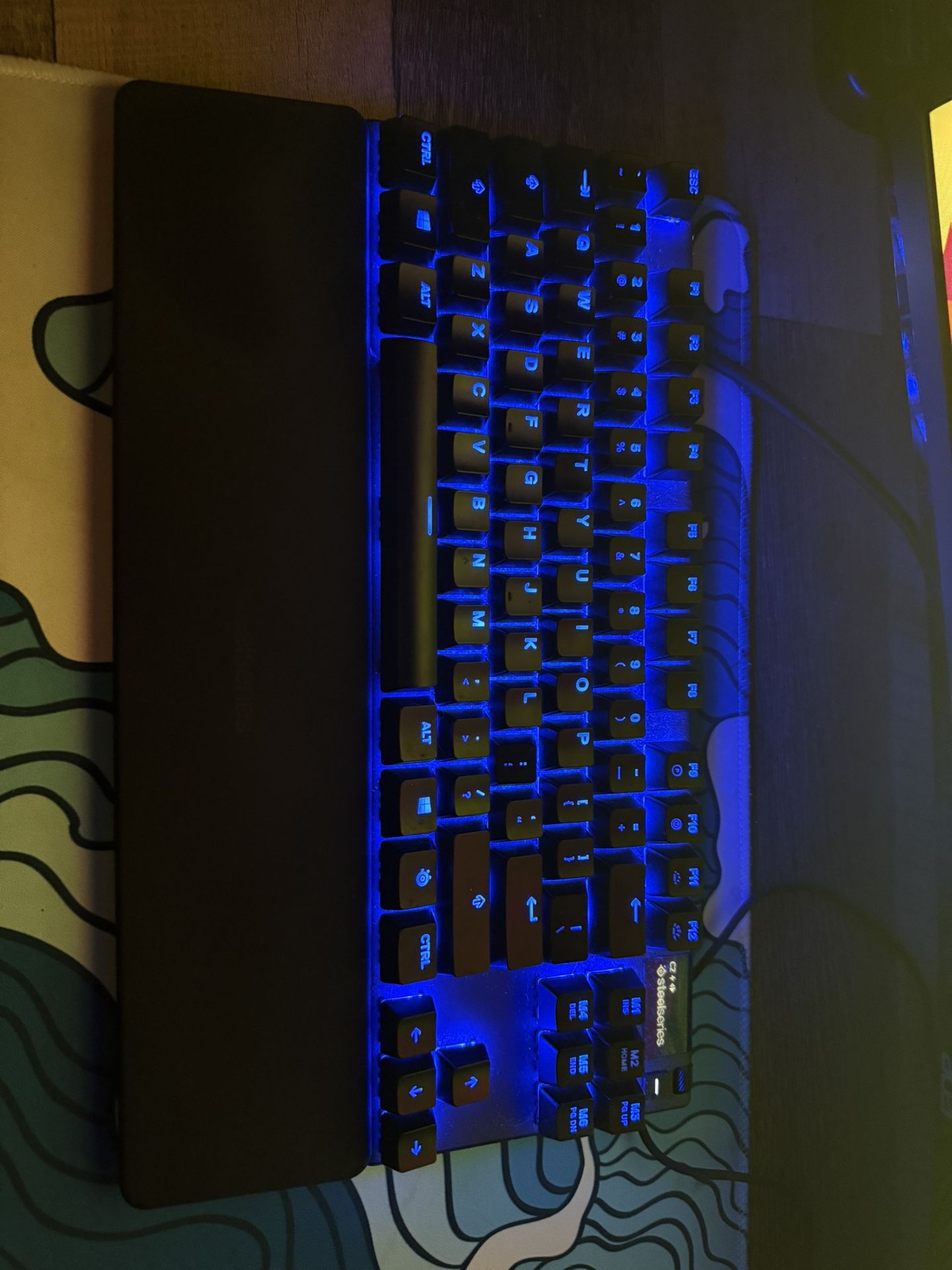 Steel Series Keyboard