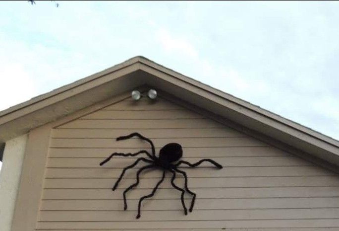 Set of 2 Giant spiders 5 Feet Diameter outdoor Halloween decor Both For $45 FIRM PRICE 