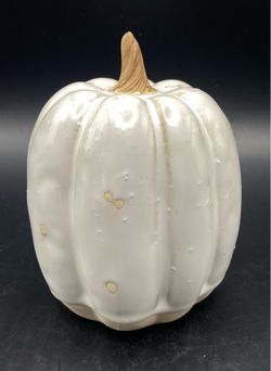 Stoneware Glazed White Pumpkin with Texture and Hand Painted Stem