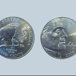 Buffalo Nickel 2005