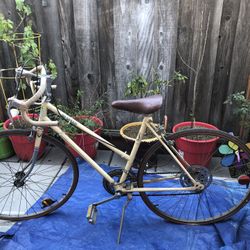 KIA 10 Speed Vintage Bicycle 