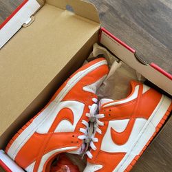 Nike dunk “Syracuse” size 11.5🍊