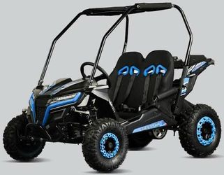 Cheetah I6  Electric Go Kart Kids 20 MPH with Reverse At Turbopowersports on sale $1299