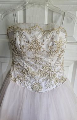 Beautiful Quinceanera Sweet 16 Dress