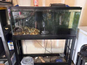 55 Gallon Fish Tank & Stand