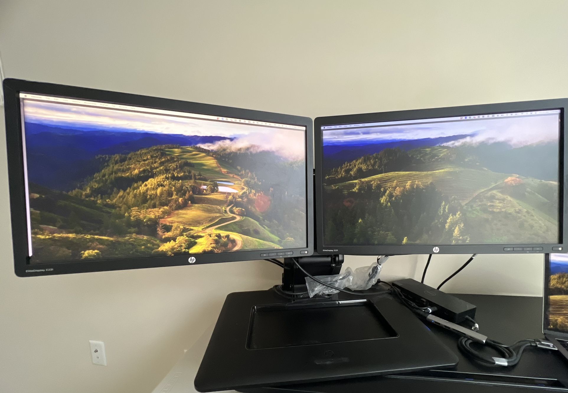 HP EliteDisplay E231 Dual Monitor With Arm