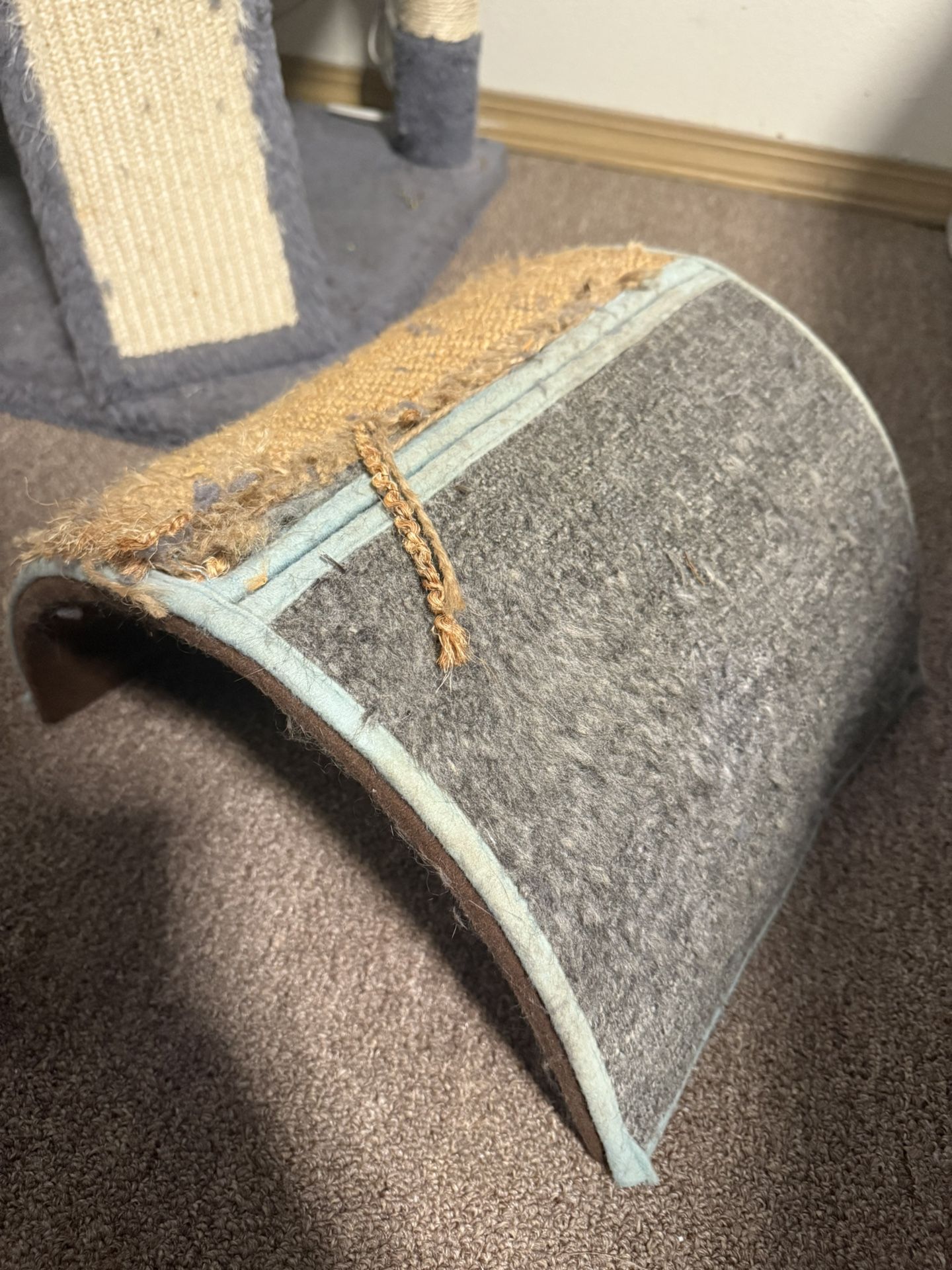Cat scratcher