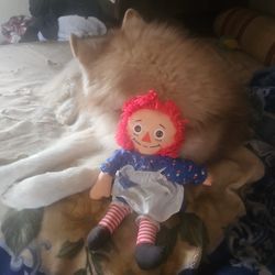 Raggedy Ann Doll 