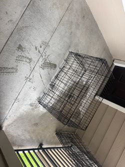 Dog Cage