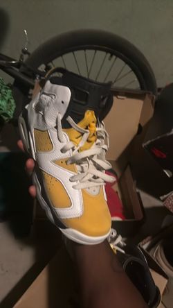 Air Jordan 6s