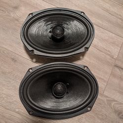 Digital Designs CXS 6x9 car speakers 4OHM