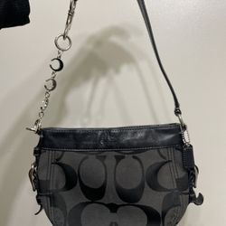 Coach Mini/ Small Zoe  Bag 