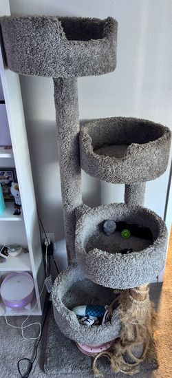 Cat Condo