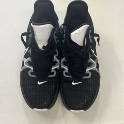 Nike LeBron Shoes Size 10.5