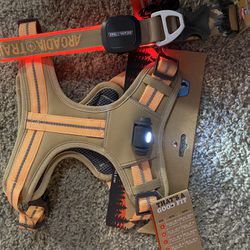 LED harness And Collar 