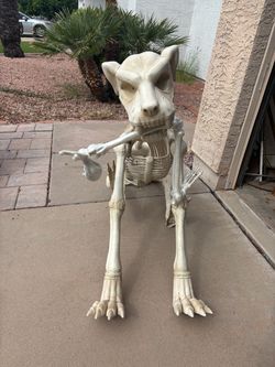 Large Halloween Skeleton Dog Decoration