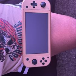 Link(Zelda) Nintendo Switch Lite 
