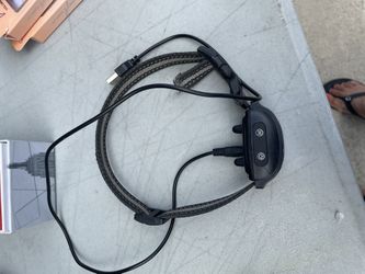 Dog Collar