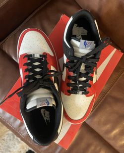 Nike Dunk Low Chicago EMB 75th Anniversary Size 11.5