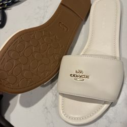 Coach Sandals 