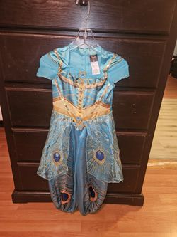 Disney Princess Jasmine Dress