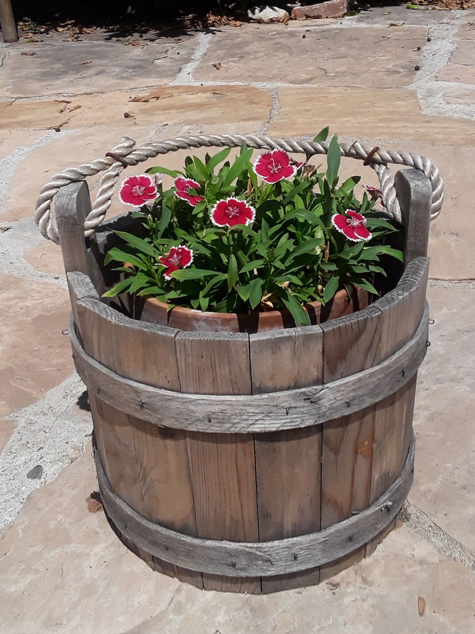 Flowers in a bucket