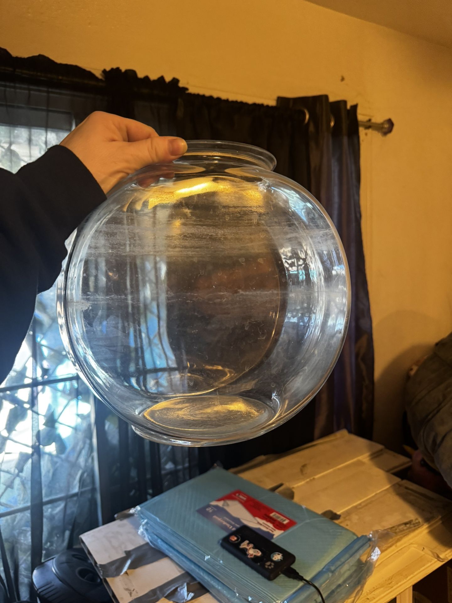 Fish Bowl