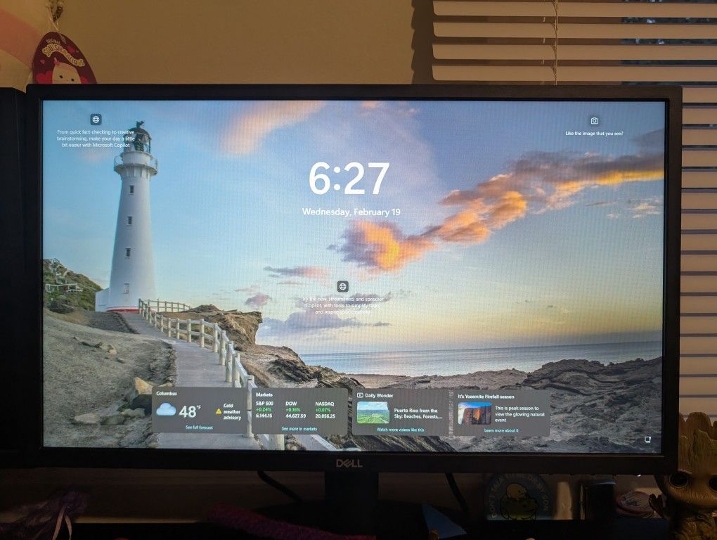 24 Inch Monitor (PC)