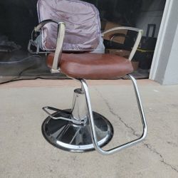 Salon Chair