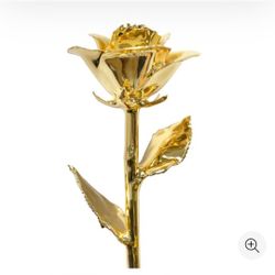 I Hate Stephen Singer 24k Gold Dipped Rose