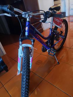 New Schwinn Mountain Bike 24" Wheel.