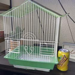 Bird Cage 