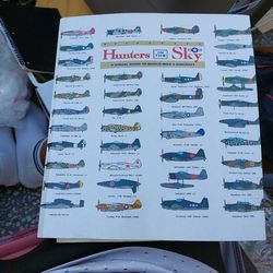 HUNTERS IN THE SKY. VISUAL GUIDE WW II AIRCRAFT. BEAUTIFUL CONDITION 