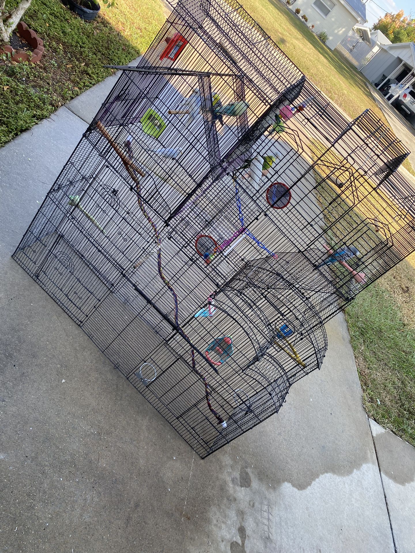 Custom Made Bird Cage /10 Birds