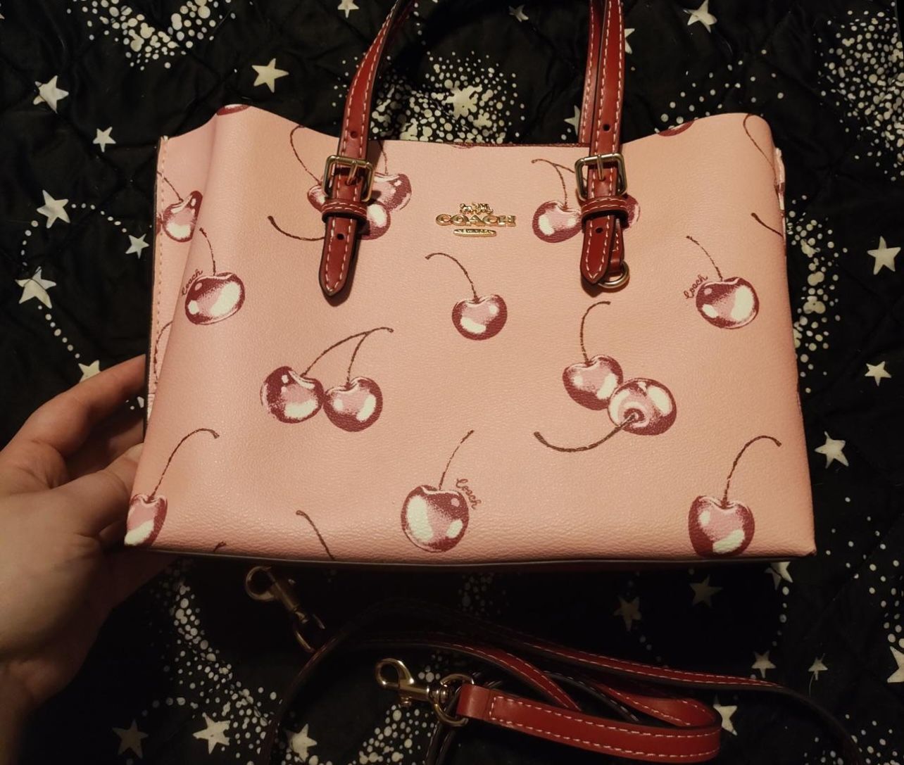 Coach Cherry Bag