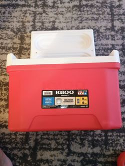 Ice Cooler ( 8 liters)