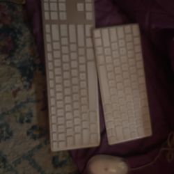 Apple Keyboards And Mouse