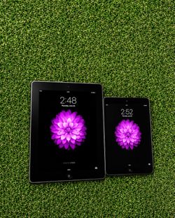 iPad Gen 2 and mini LOT