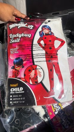 Miraculous  costume