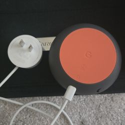 Google Mini
