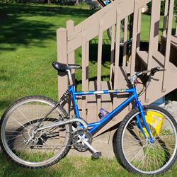 Pro Flex 453 Suspension Mountain Bike 