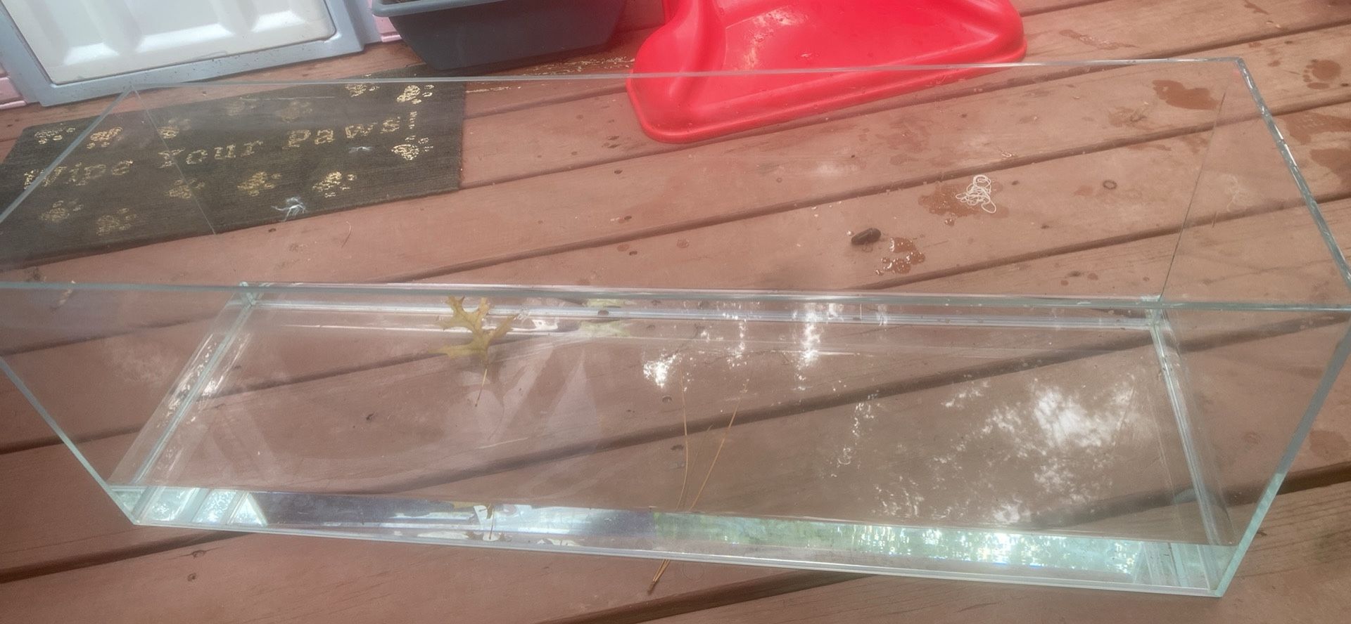 20 Gallon Long Rimless Tank