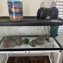 Tank (turtle)