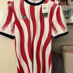 Nike USA Mens Medium And Large Authentic Soccer Jersey, New With Tags. Retail $90