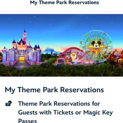 Disneyland Ticket (1)- Any Day In May