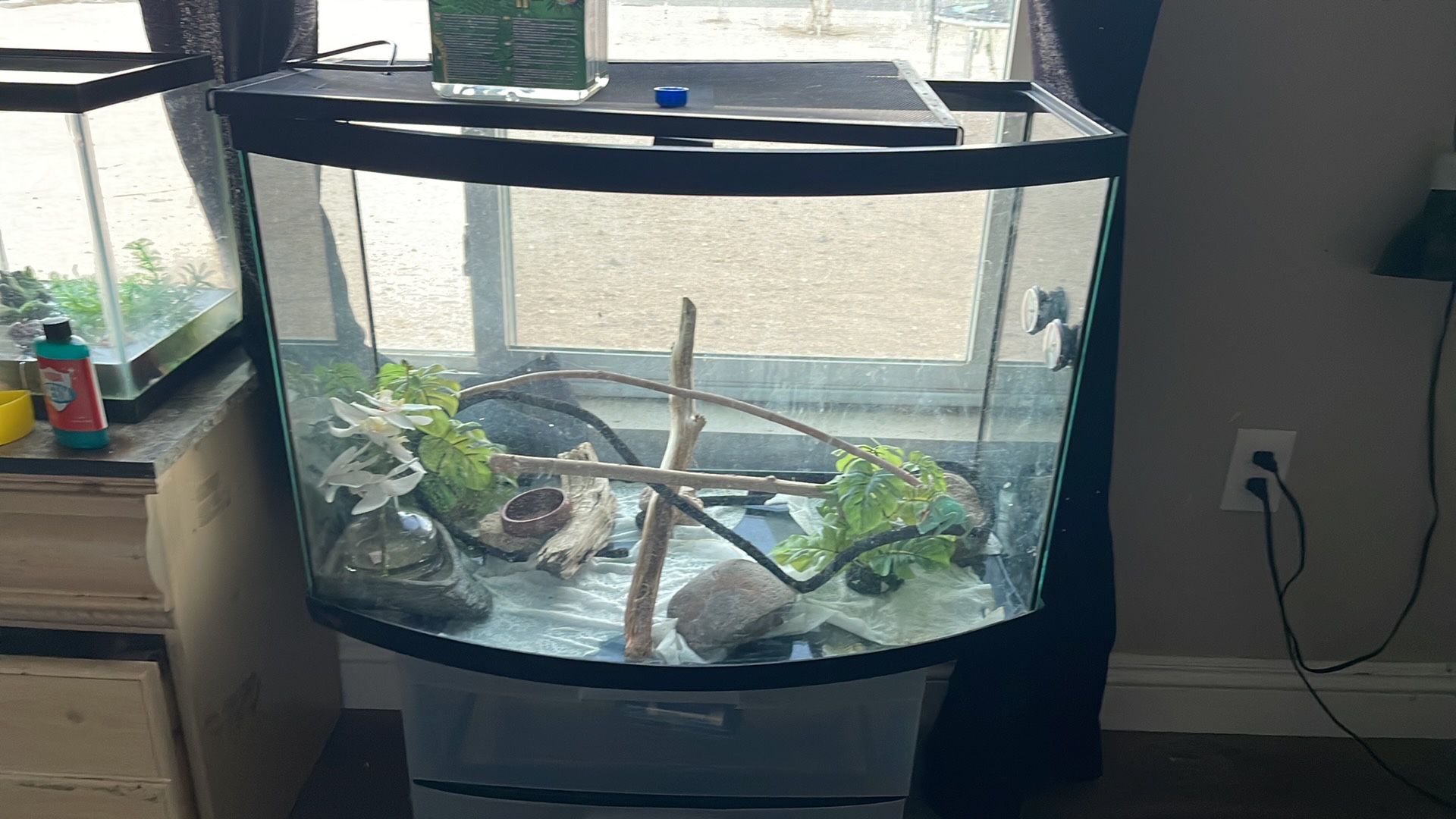 Chameleon Tank