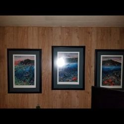 Robert Lyn Nelso 3 Piece Print Progesionaly Framed In Uv Protected Glass . Prints Are In Pergect Condition Number 283/400. Awesome 3 Piece Set