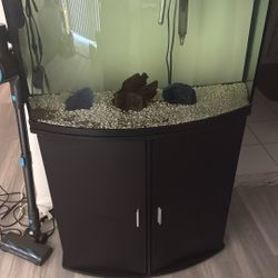 45 Gallon Bowfront Fish Tank 